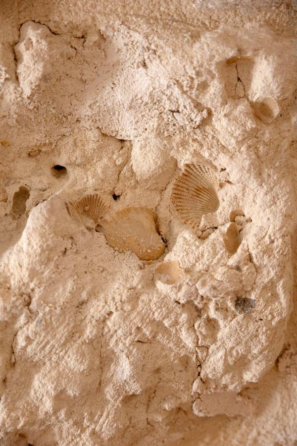 Apulian House Hotel Brindisi Luaran gambar